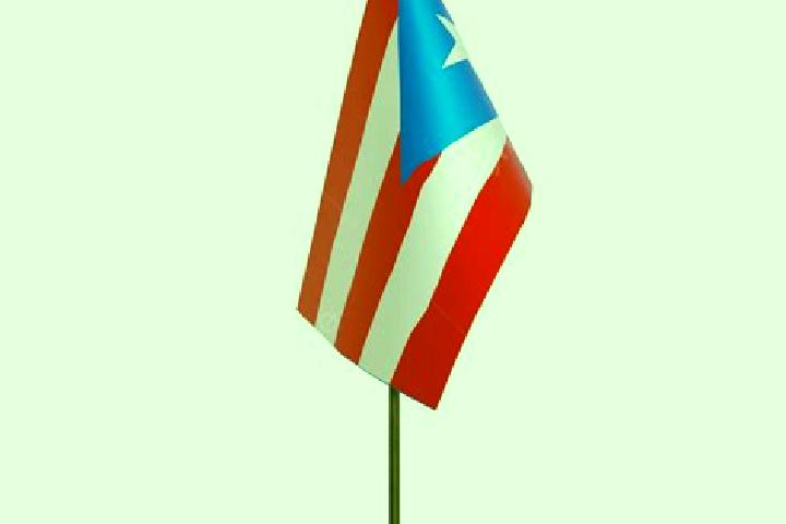 Sophia, 21 — Escort in Pole Ojea, Puerto Rico
