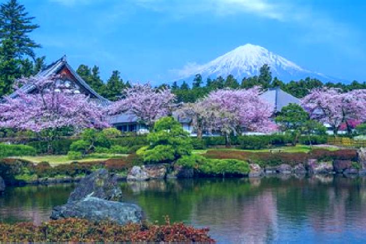 Sophia, 21 — Escort in Shizuoka, Japan