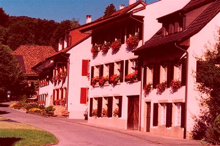 Sophia, 21 — Escort in Tenniken, Switzerland