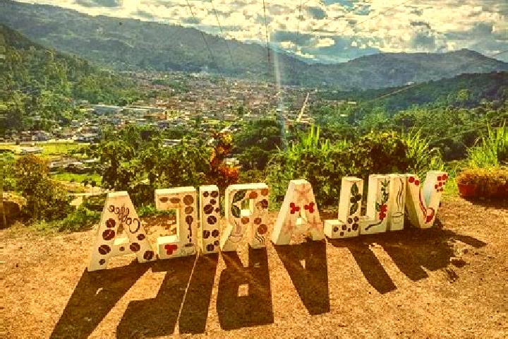 Sophia, 21 — Escort in Villa Rica, Peru