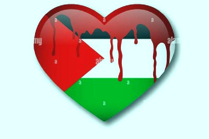 Sophia, 22 — Escort in Baytunya, Palestine