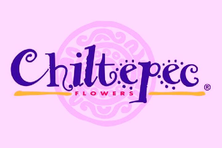 Sophia, 22 — Escort in Chiltepec de Hidalgo, Mexico