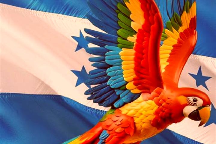 Sophia, 22 — Escort in Correderos, Honduras