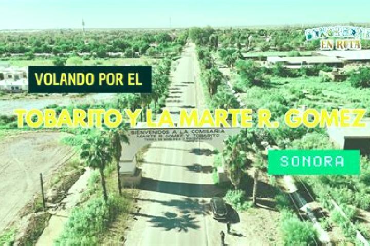 Sophia, 22 — Escort in Marte R. Gomez (Tobarito), Mexico