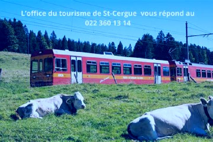 Sophia, 22 — Escort in Saint-Cergue, Switzerland