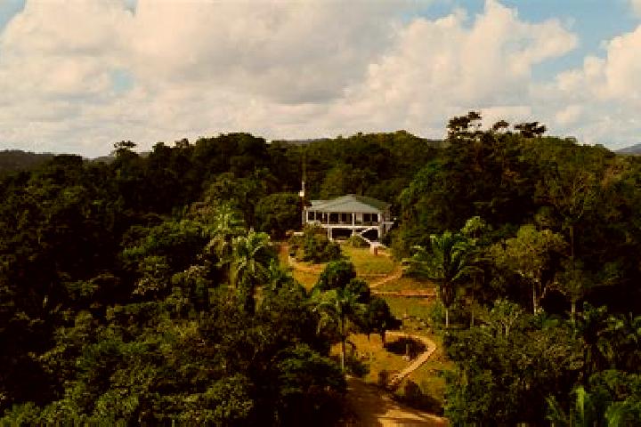 Sophia, 22 — Escort in Silk Grass, Belize
