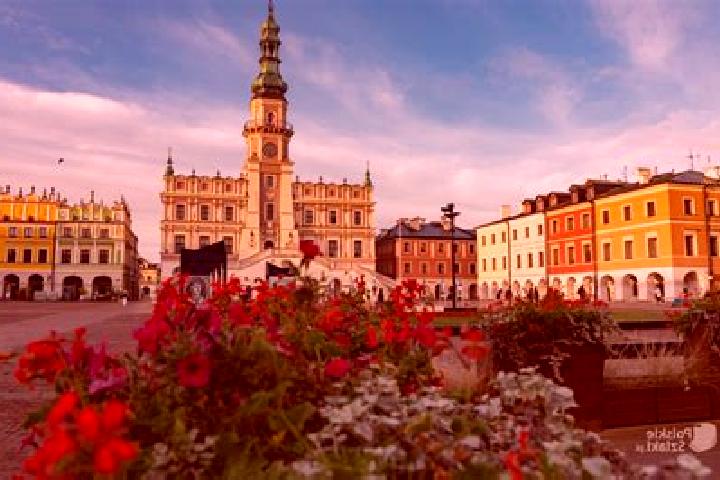 Sophia, 22 — Escort in Zamosc, Poland