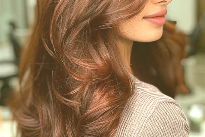 Sophia, 23, a auburn brown-eyed indian companion based in Kajaran. Offering OWO, GFE, Massage, Roleplay. Available for incall and outcall, day and evening da...