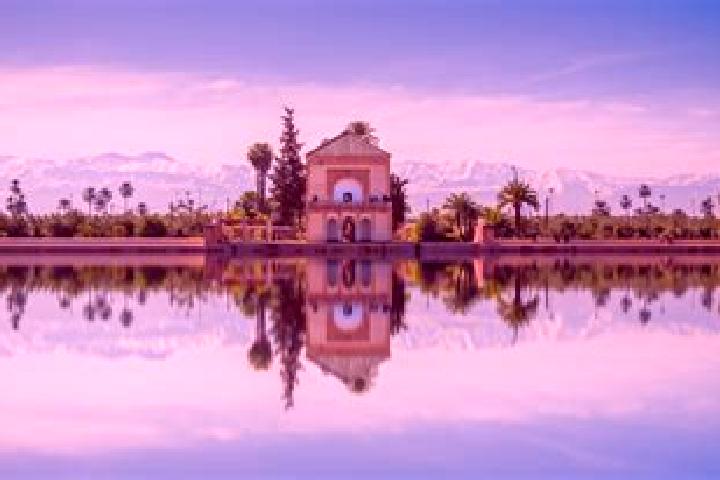 Sophia, 23 — Escort in Bir Jdid, Morocco