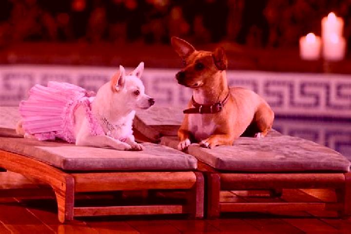 Sophia, 23 — Escort in Chihuahuita, Mexico