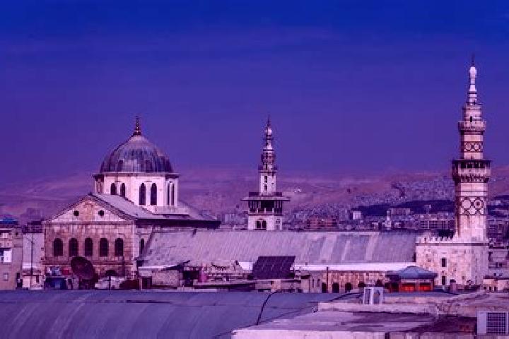 Sophia, 23 — Escort in Jayrud, Syria