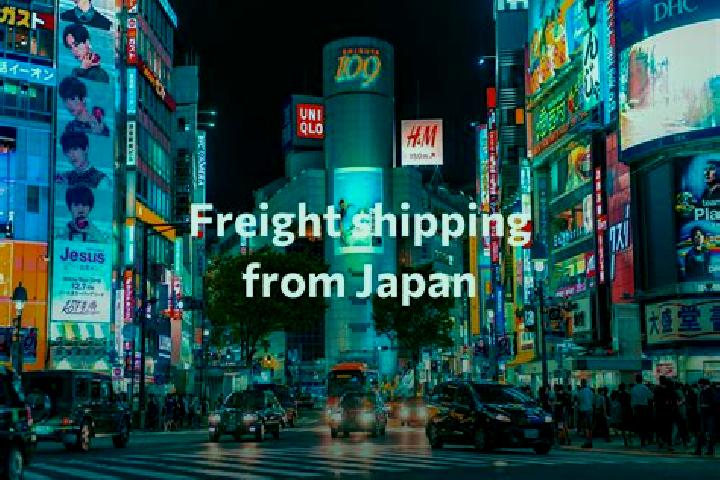 Sophia, 23 — Escort in Kazuno, Japan