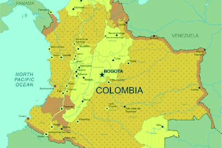 Sophia, 23 — Escort in Maicao, Colombia