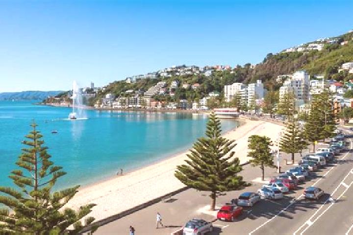 Sophia, 23 — Escort in Oriental Bay, New Zealand