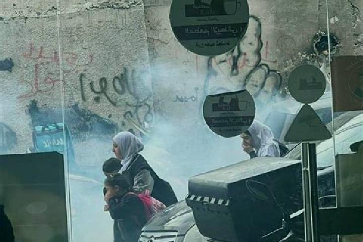 Sophia, 23 — Escort in Shu fat, Palestine