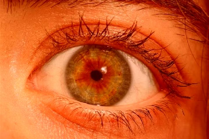 Sophia, 24, a red hazel-eyed european companion based in Berchules. Offering A-Level, Dinner Date, Roleplay. Available for incall and outcall, overnight book...
