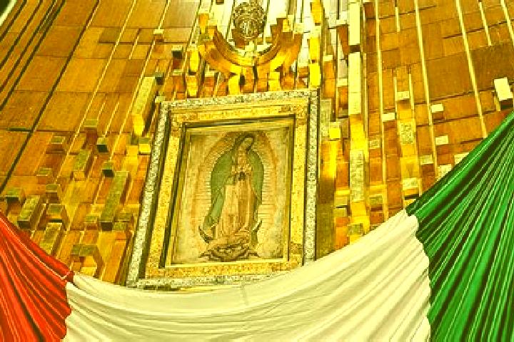Sophia, 24 — Escort in Capilla de Guadalupe, Mexico