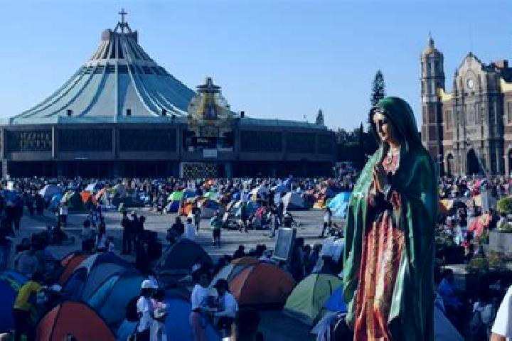 Sophia, 24 — Escort in Estero del Idolo, Mexico