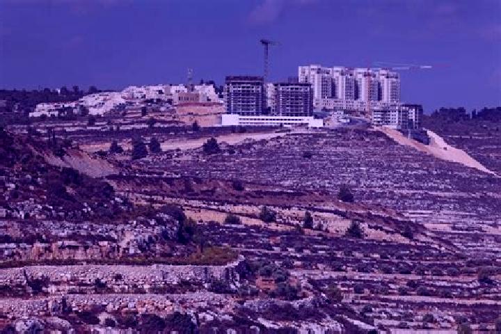 Sophia, 24 — Escort in Giv at Yesha yahu, Israel