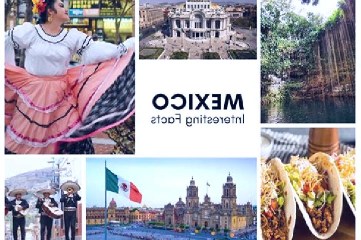 Sophia, 24 — Escort in Joybe, Mexico