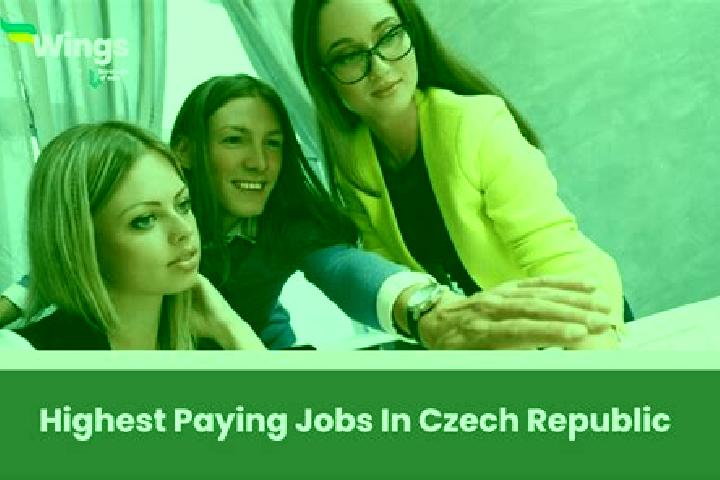 Sophia, 25 — Escort in Boranovice, Czech Republic