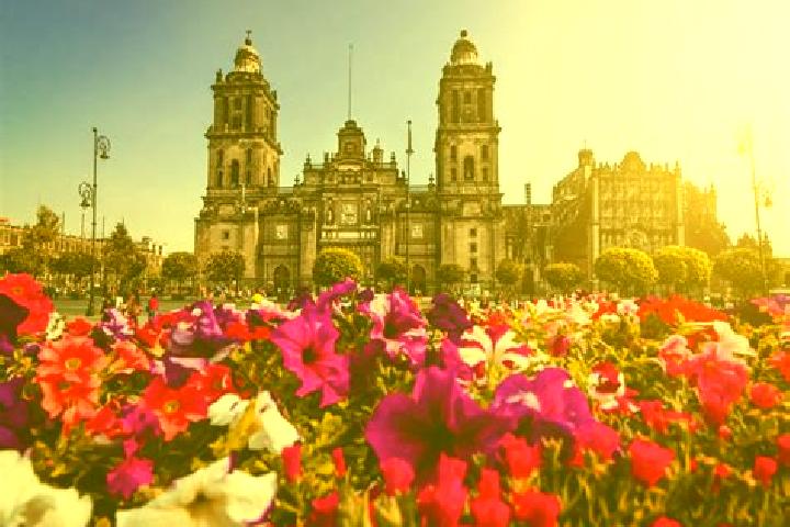 Sophia, 25 — Escort in Ciudad Valles, Mexico