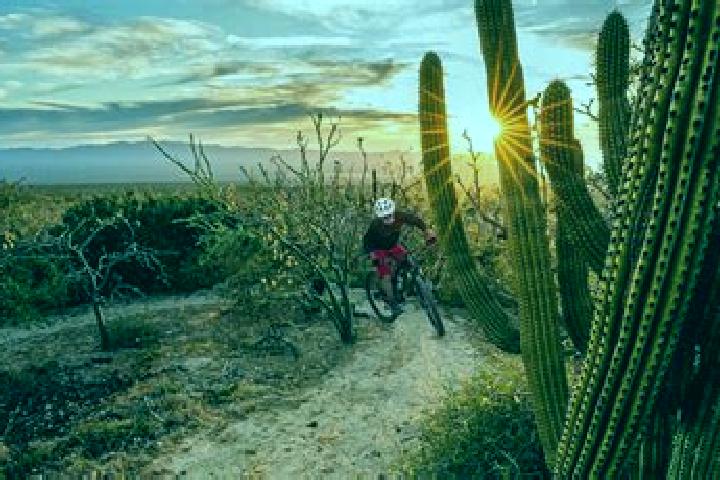 Sophia, 25 — Escort in Rancho Cuachixolotera, Mexico