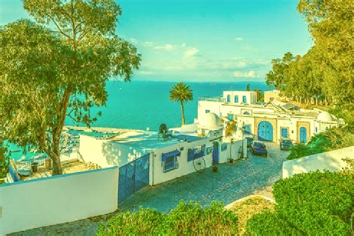Sophia, 25 — Escort in Sidi Amor Bou Hajela, Tunisia