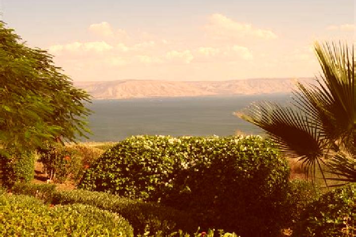 Sophia, 25 — Escort in Tiberias, Israel