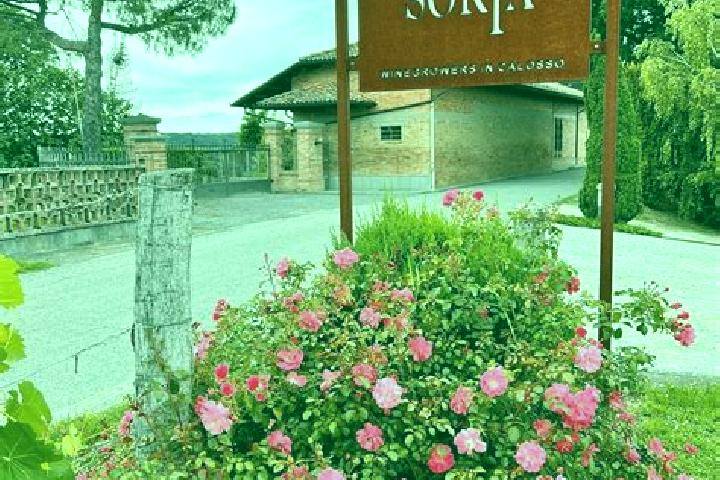 Sophia, 26 — Escort in Calosso, Italy