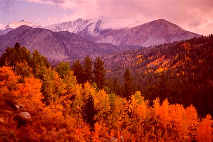 Sophia, 26 — Escort in Mammoth Lakes, United States