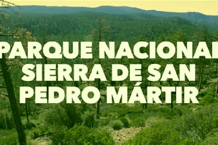 Sophia, 26 — Escort in San Pedro Martir, Mexico