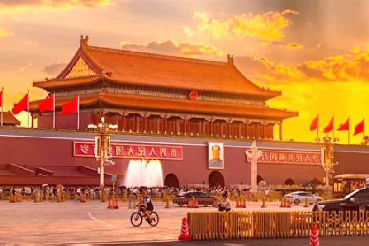 Sophia, 26 — Escort in Wanxing, China