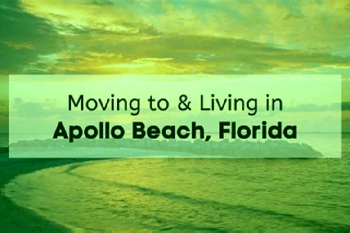 Sophia, 27 — Escort in Apollo Beach, United States