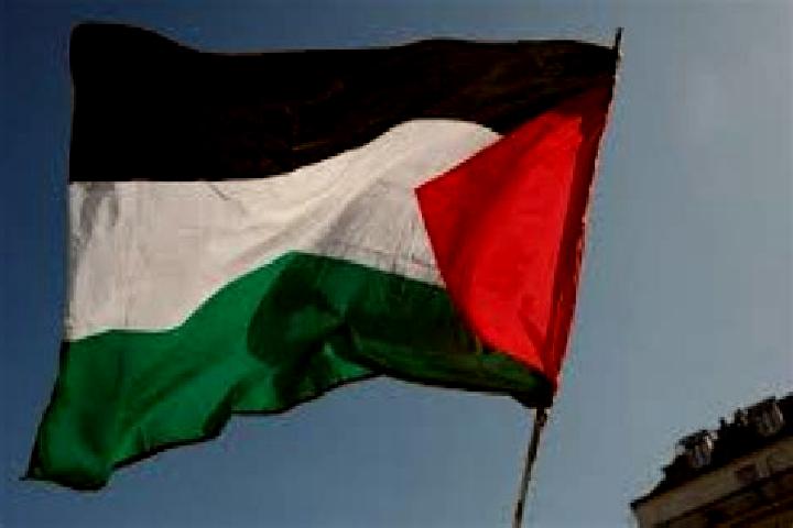 Sophia, 27 — Escort in Az Zubaydat, Palestine
