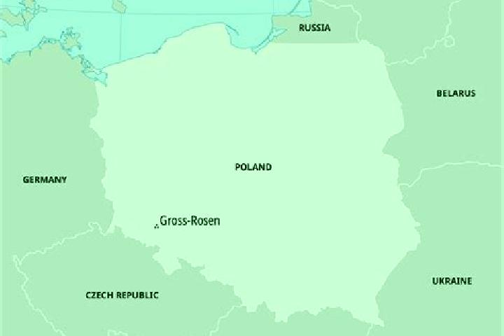 Sophia, 27 — Escort in Oswiecim, Poland