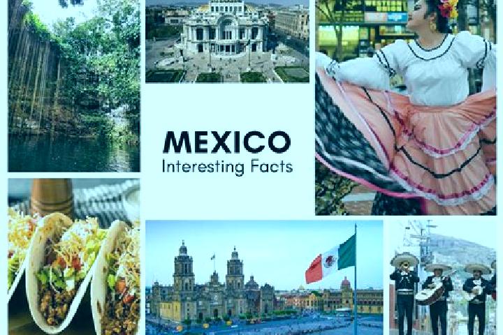 Sophia, 27 — Escort in Puerta Siete, Mexico