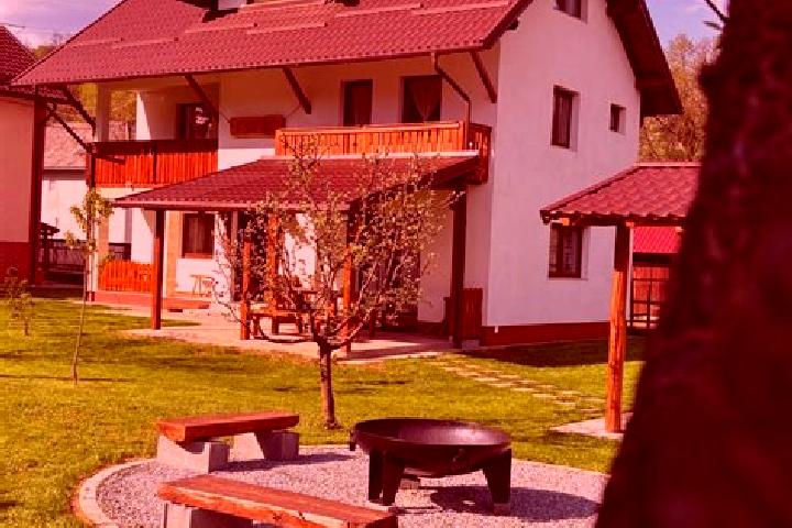 Sophia, 27 — Escort in Sambata de Jos, Romania