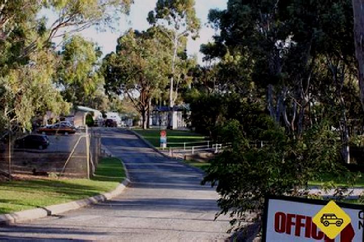 Sophia, 27 — Escort in Woodcroft, Australia