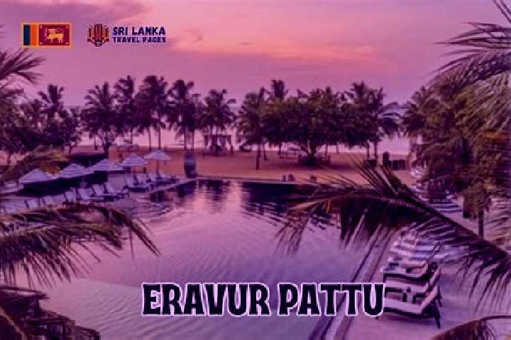 Sophia, 28 — Escort in Eravur Town, Sri Lanka