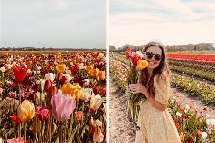 Sophia, 28 — Escort in Herrnbaumgarten, Austria