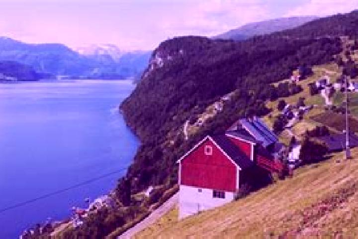 Sophia, 28 — Escort in Nordfjordeid, Norway