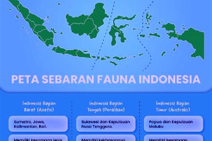 Sophia, 29 — Escort in Banjar Tengah, Indonesia