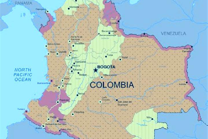 Sophia, 29 — Escort in El Tablon, Colombia