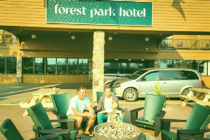 Sophia, 30 — Escort in Central Forest Park, United States
