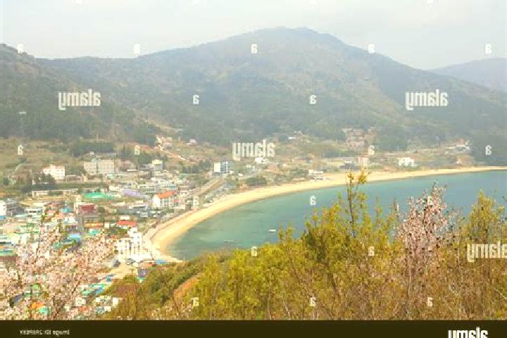 Sophia, 30 — Escort in Geoje, South Korea