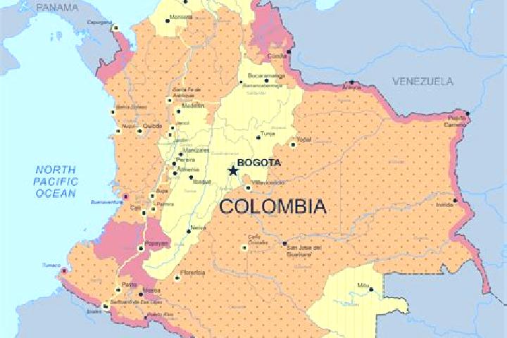 Sophia, 31 — Escort in Circasia, Colombia
