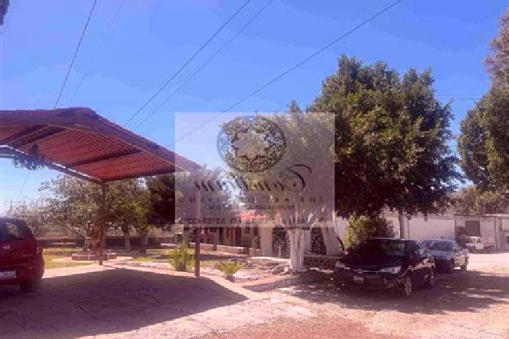 Sophia, 31 — Escort in Cueramaro, Mexico