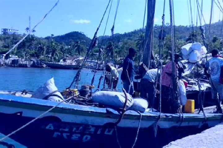 Sophia, 31 — Escort in Roche-a-Bateau, Haiti