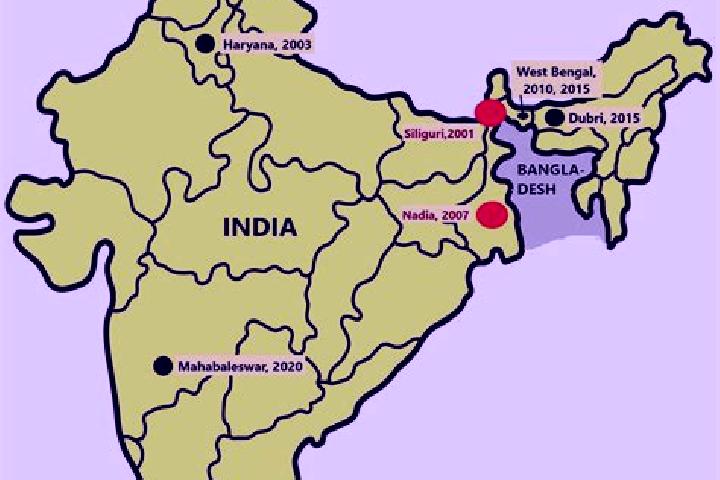 Sophia, 32 — Escort in Par Naogaon, Bangladesh